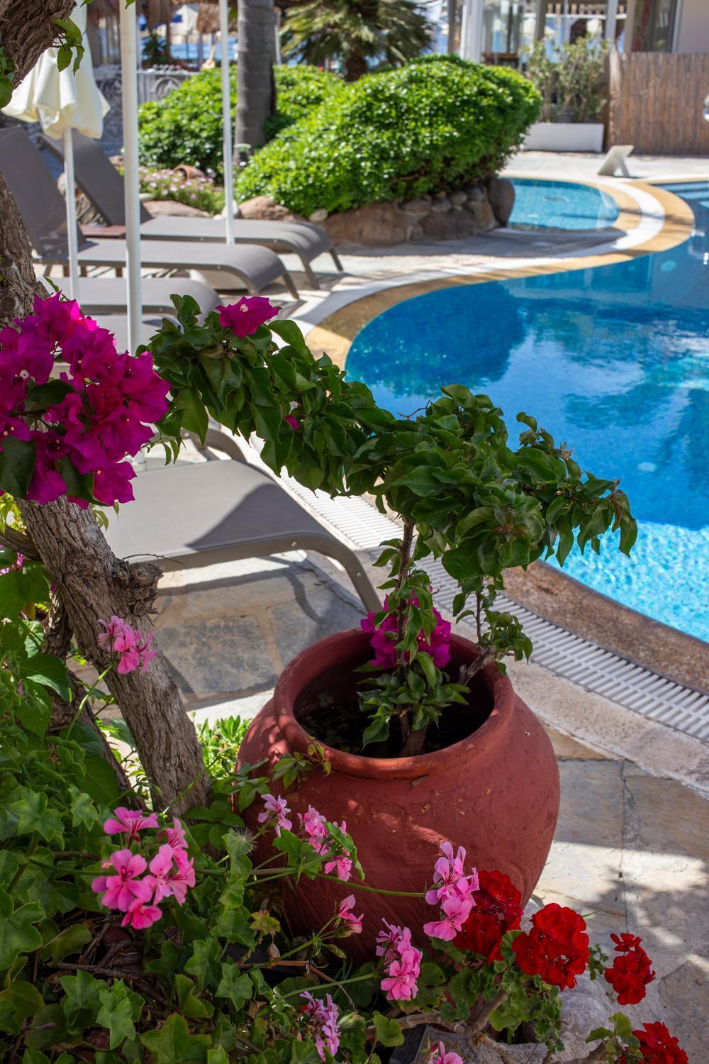 Uzhan Beach Hotel Bitez Zewnętrze zdjęcie