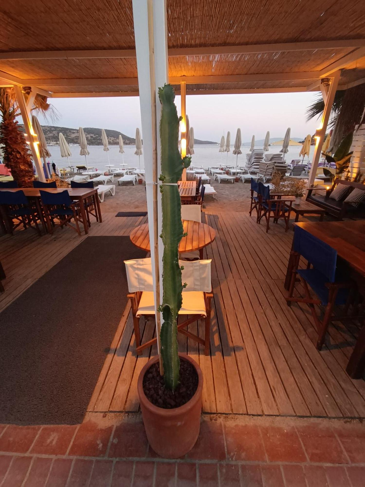 Uzhan Beach Hotel Bitez Zewnętrze zdjęcie